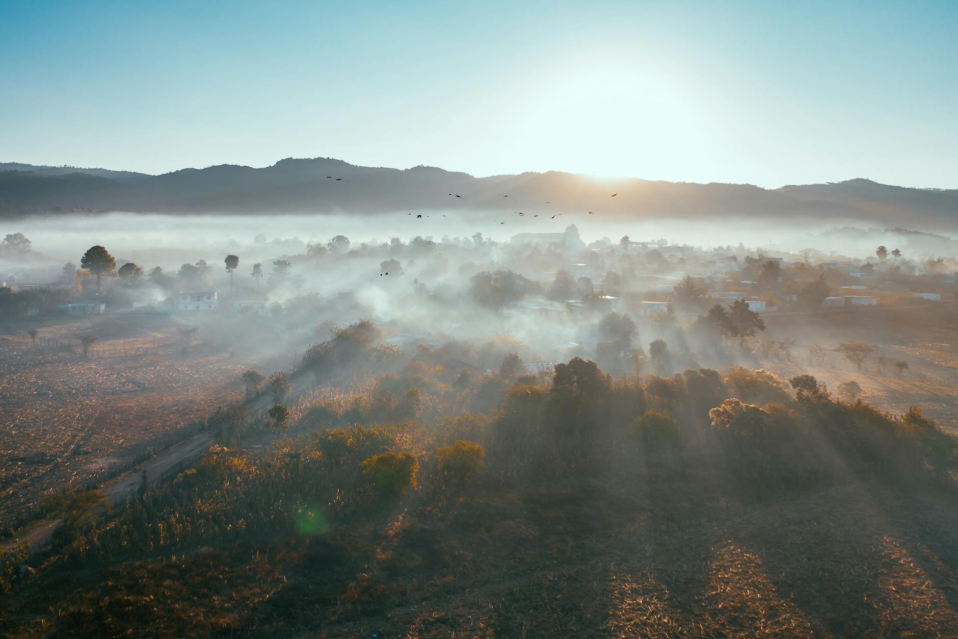 Panoramic view of a serene landscape, symbolizing mental clarity and focus.